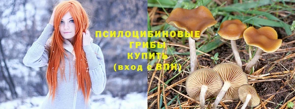 дживик Алзамай