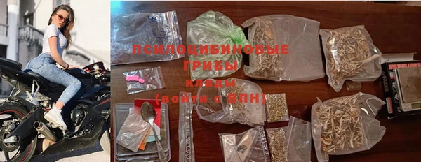 сатива Алексеевка