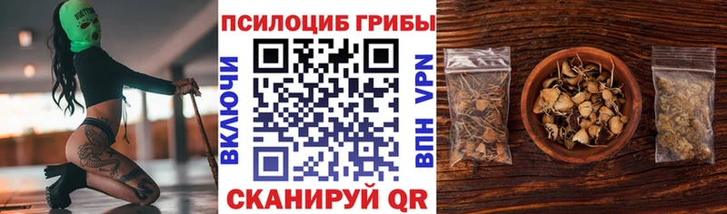 маркетплейс состав Калтан Псилоцибиновые грибы мицелий где найти